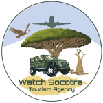 Watch_Socotra_logo_page-0001-removebg-qx6tsw4z2zet1puubf3qqsumvbo33wx30kchvpwl0c
